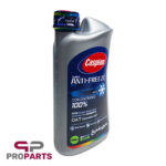 سوپر ضد یخ چهار فصل سبز 1 کیلوگرمی کاسپین مناسب برای همه خودروها