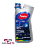 سوپر ضد یخ چهار فصل سبز 1 کیلوگرمی کاسپین مناسب برای همه خودروها